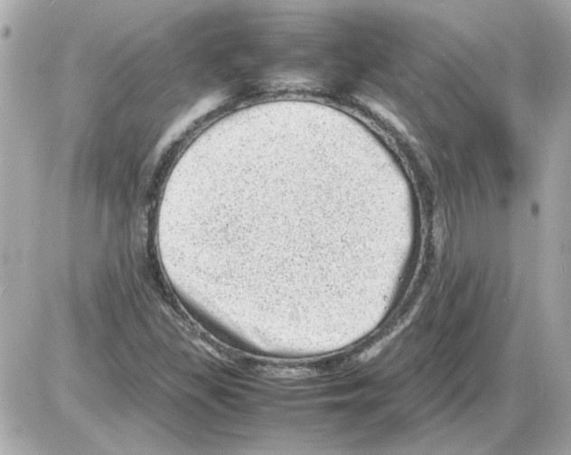 X0000085291309200704092222