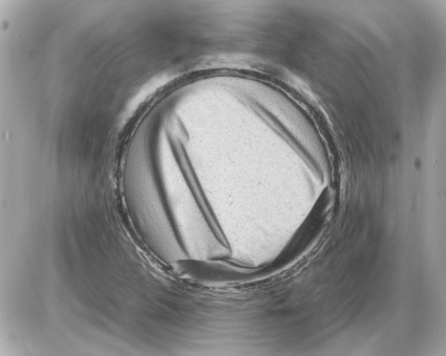 X0000085291312200704092222