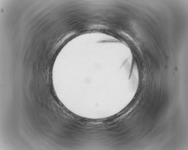 X0000085291313200704092222