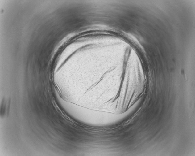 X0000085291318200704092222