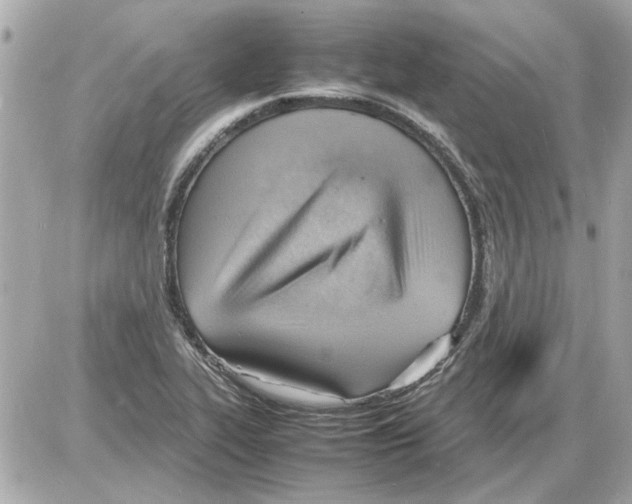 X0000085291319200704092222