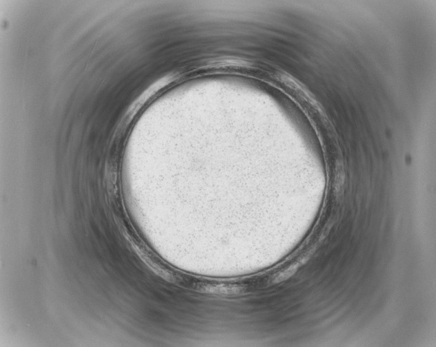 X0000085291321200704092222