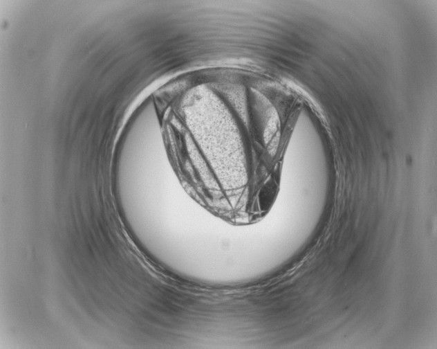 X0000085291324200704092222