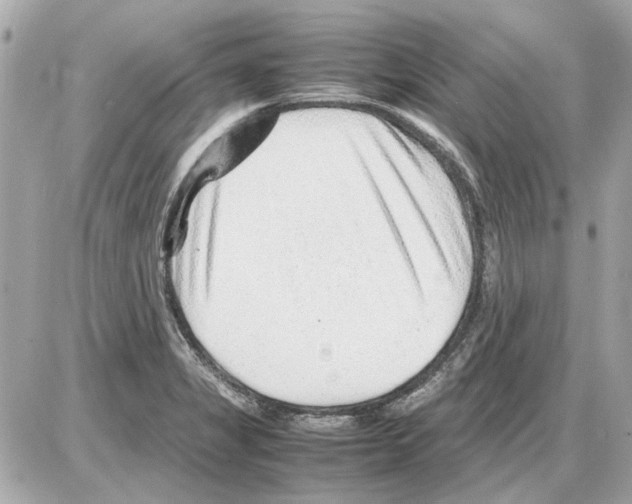 X0000085291325200704092222