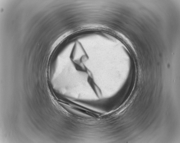 X0000085291330200704092222