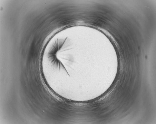 X0000085291333200704092222