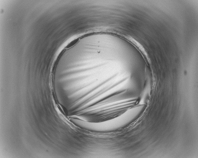 X0000085291342200704092222