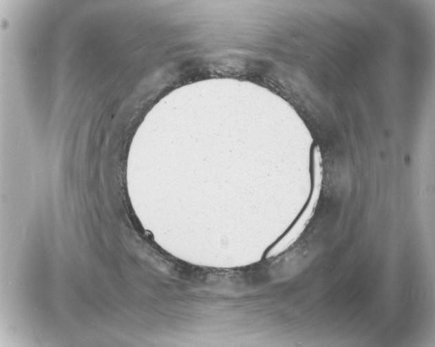 X0000085291345200704092221