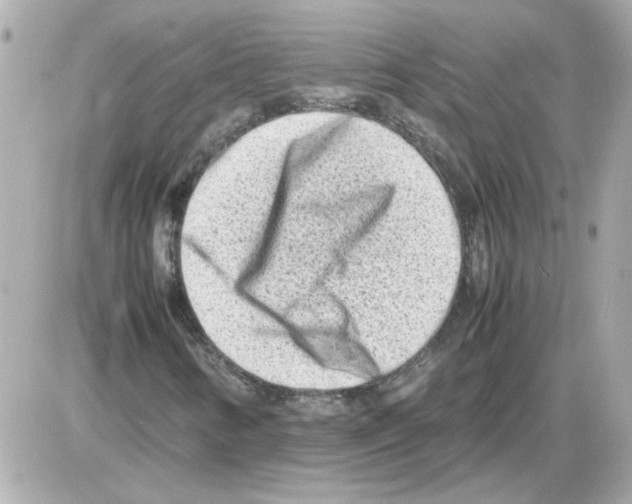 X0000085291346200704092221