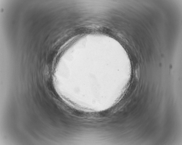 X0000085291347200704092221