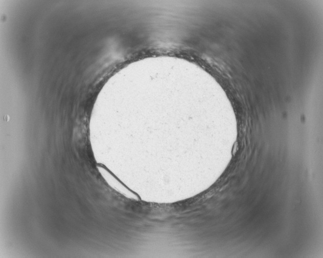 X0000085291349200704092221