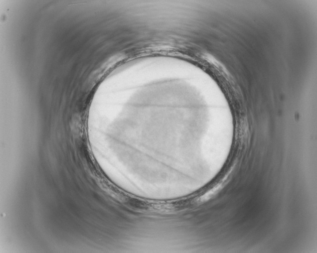X0000085291353200704092221