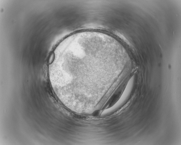 X0000085291358200704092221