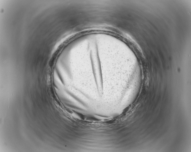 X0000085291360200704092221