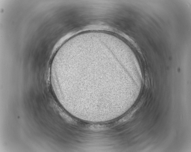 X0000085291366200704092221