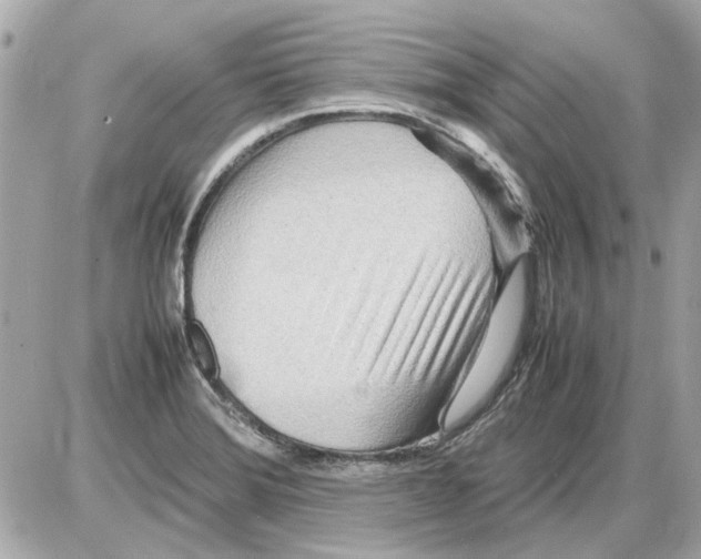X0000085291372200704092221