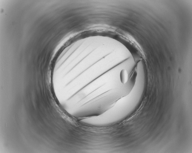 X0000085291376200704092221