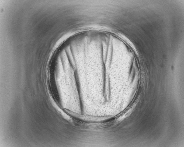 X0000085291381200704092221