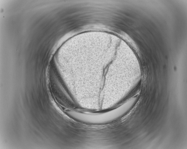 X0000085291382200704092221