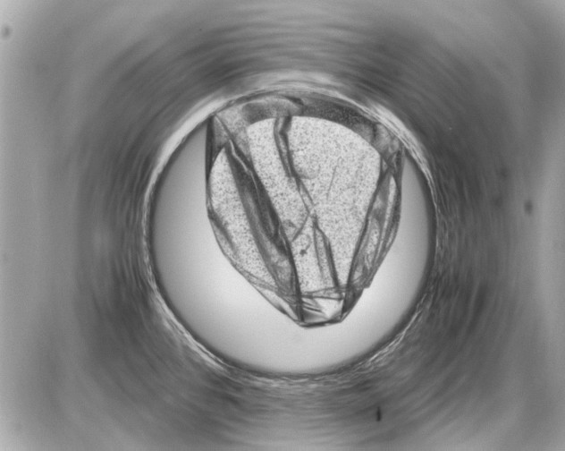 X0000085291384200704092221