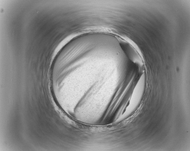 X0000085291389200704092221
