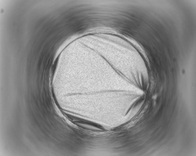 X0000085291390200704092221