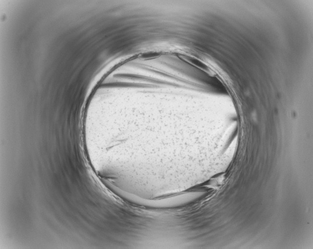 X0000085291392200704092221