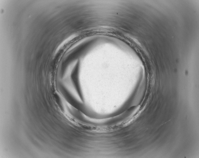 X0000085291402200704092220