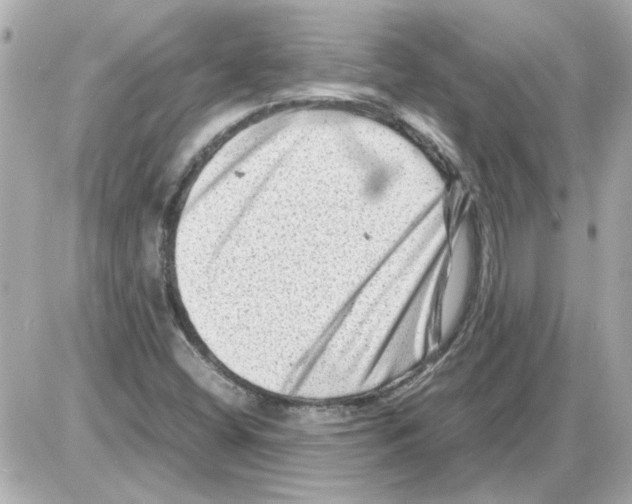 X0000085291404200704092220