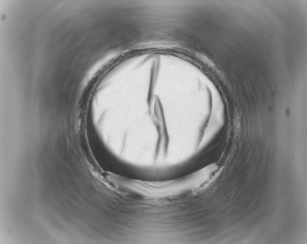 X0000085291406200704092220