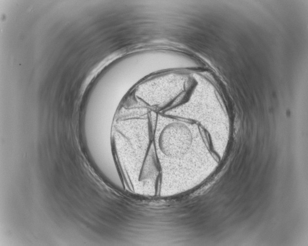 X0000085291410200704092220