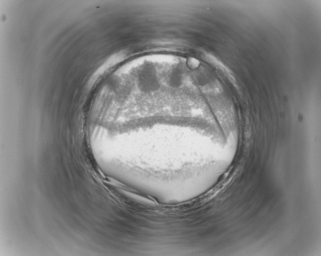X0000085291411200704092220