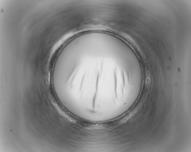 X0000085291414200704092220