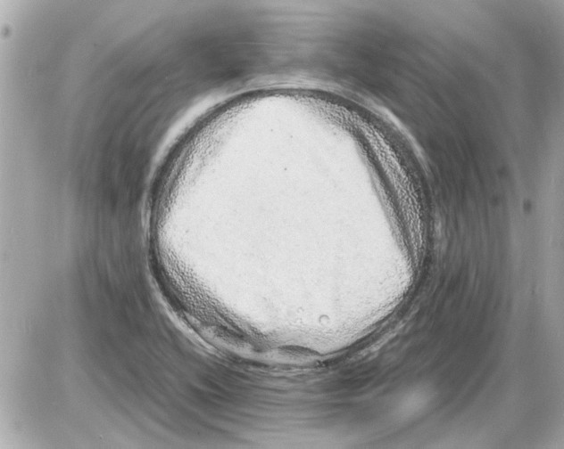X0000085291416200704092220