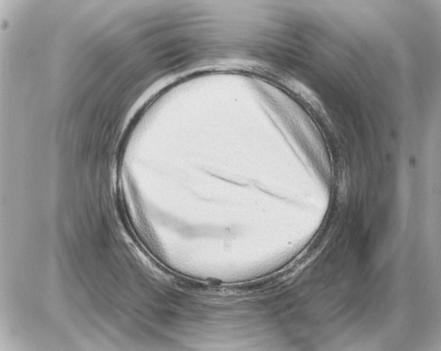 X0000085291420200704092220