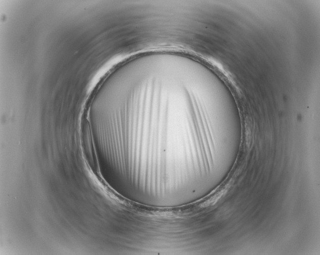 X0000085291422200704092220