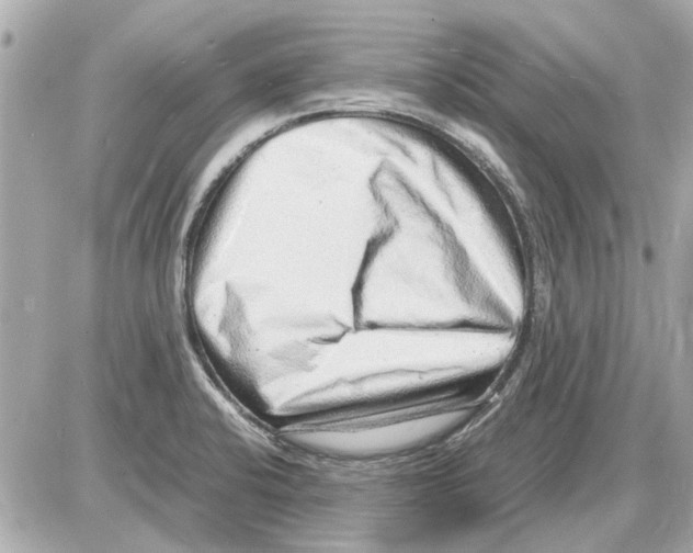 X0000085291424200704092220