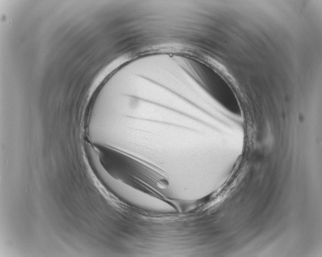 X0000085291426200704092220