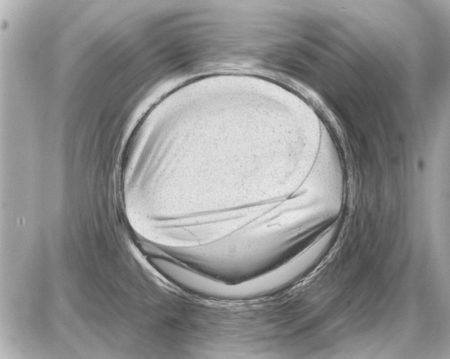 X0000085291432200704092220