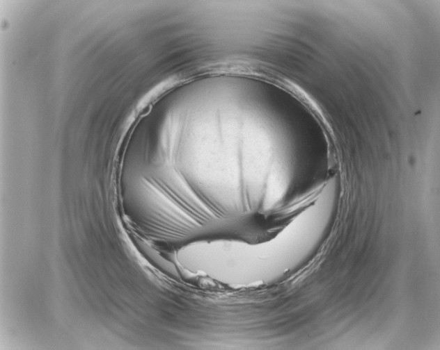 X0000085291434200704092221