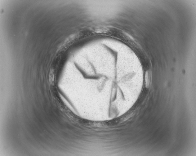 X0000085291443200704092220