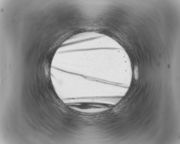 X0000085291444200704092220