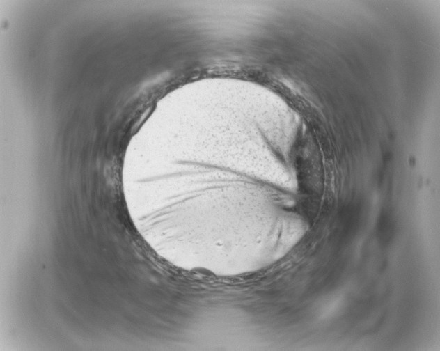 X0000085291445200704092220