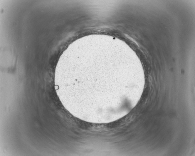 X0000085291447200704092220
