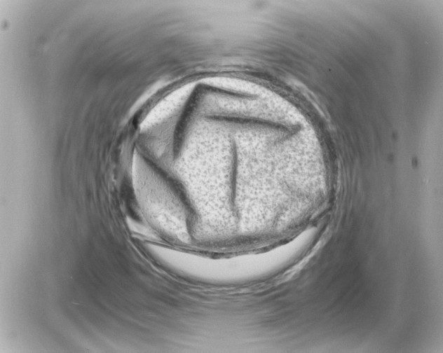 X0000085291449200704092220