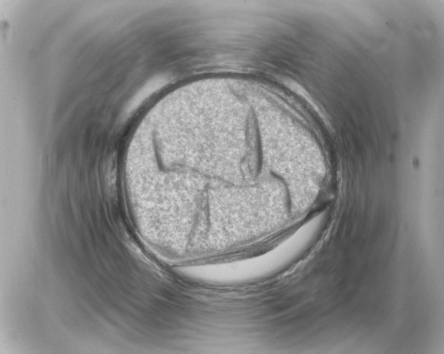 X0000085291450200704092220