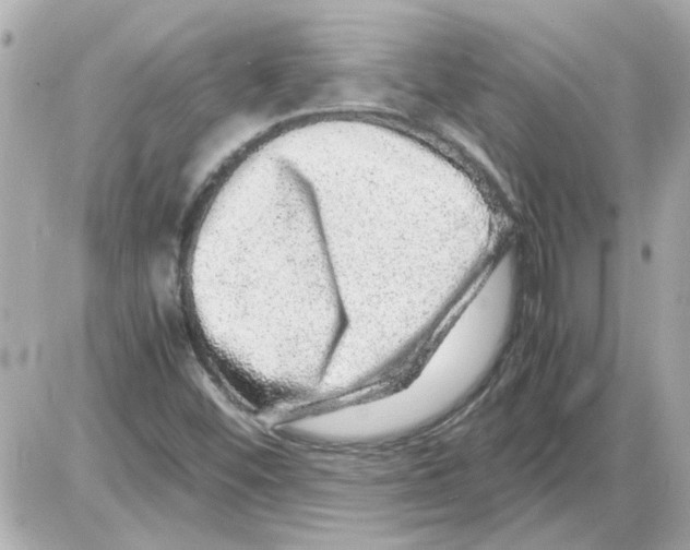 X0000085291452200704092220