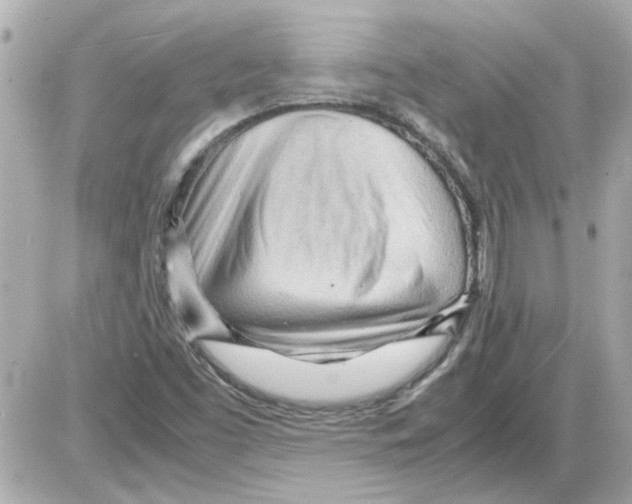 X0000085291453200704092220