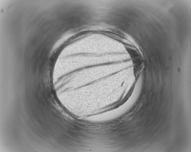 X0000085291456200704092220