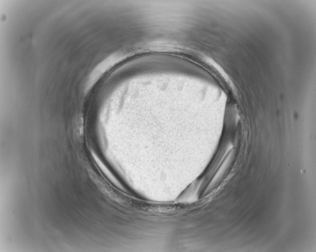 X0000085291461200704092219